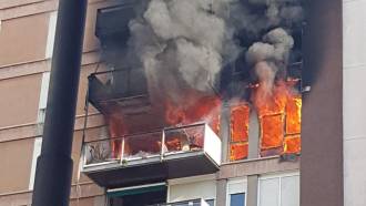 [foto de la noticia]