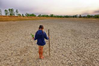 [foto de la noticia]