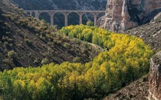 [foto de la noticia]