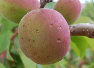 [foto de la noticia]