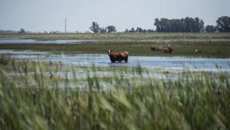 [foto de la noticia]