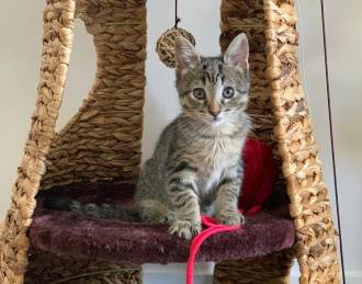 [foto de la noticia]