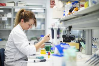 [foto de la noticia]