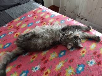 [foto de la noticia]