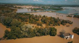 [foto de la noticia]