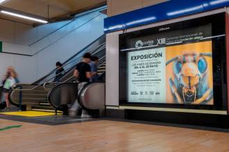 [foto de la noticia]