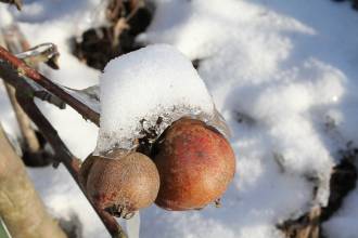[foto de la noticia]