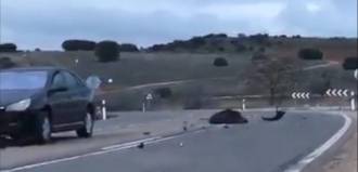 [foto de la noticia]