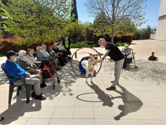 [foto de la noticia]