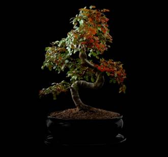 [foto de la noticia]