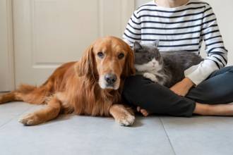 [foto de la noticia]