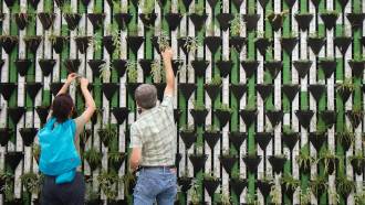 [foto de la noticia]