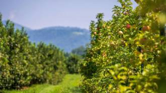 [foto de la noticia]