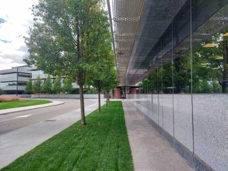 [foto de la noticia]