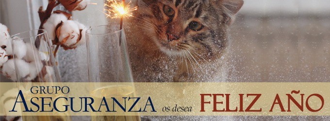 ¡Grupo Aseguranza os desea un Feliz 2026! ¡Grupo Aseguranza os desea un Feliz 2026!